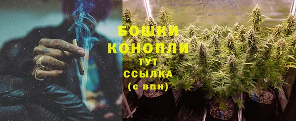 ешки Новокубанск