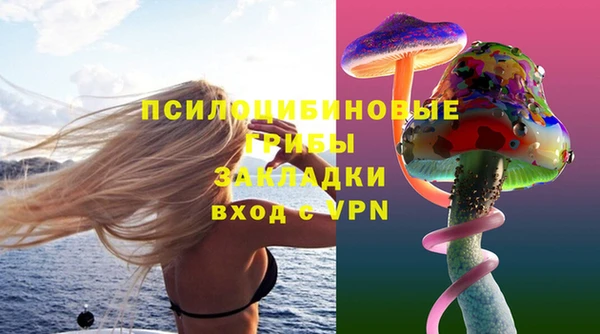 прущие грибы Белокуриха