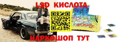 крисы Краснознаменск