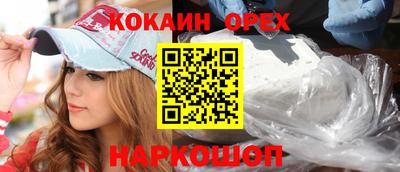 крисы Краснознаменск