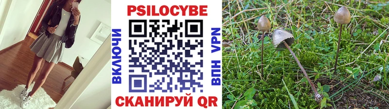 наркошоп  Минусинск  Псилоцибиновые грибы прущие грибы 