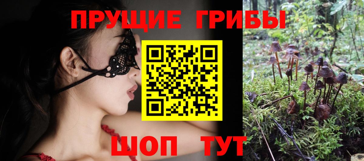 Минусинск  Псилоцибиновые грибы Cubensis  Псилоцибиновые грибы мицелий  Вход с VPN 